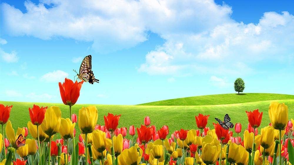 Season-(Spring-Autumn)HD-Wallpapers-Backgrounds ภาพพื้นหลัง พักหน้าจอ No.4
