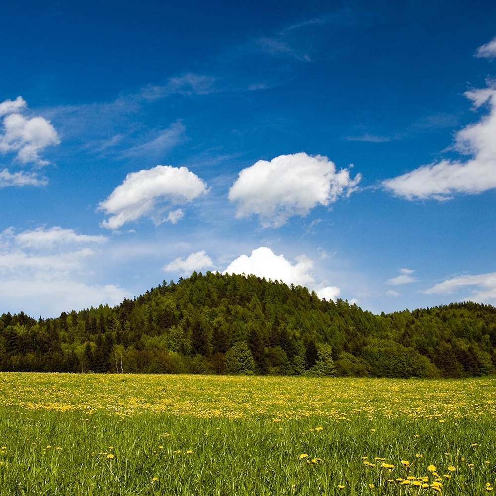 Season-(Spring-Autumn)HD-Wallpapers-Backgrounds ภาพพื้นหลัง พักหน้าจอ No.4