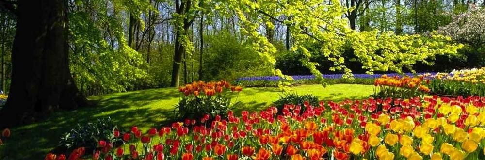 Season-(Spring-Autumn)HD-Wallpapers-Backgrounds ภาพพื้นหลัง พักหน้าจอ No.5