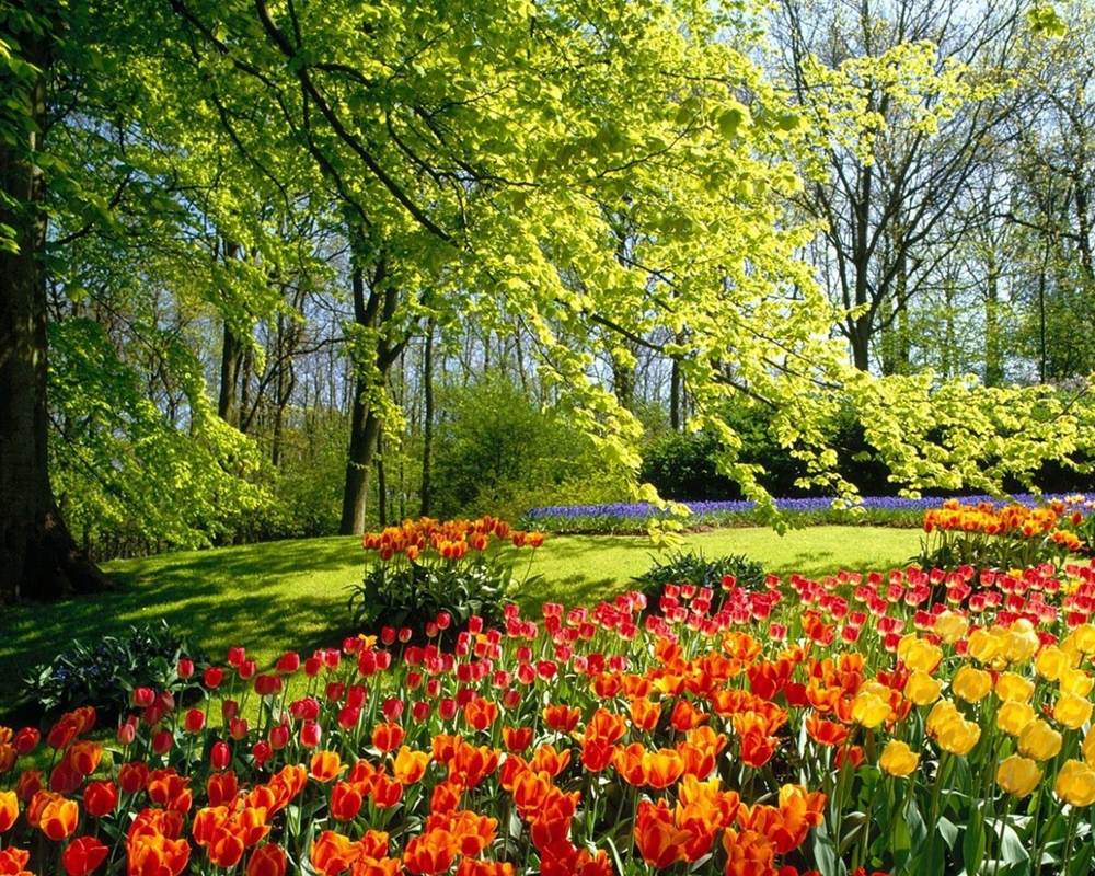 Season-(Spring-Autumn)HD-Wallpapers-Backgrounds ภาพพื้นหลัง พักหน้าจอ No.5
