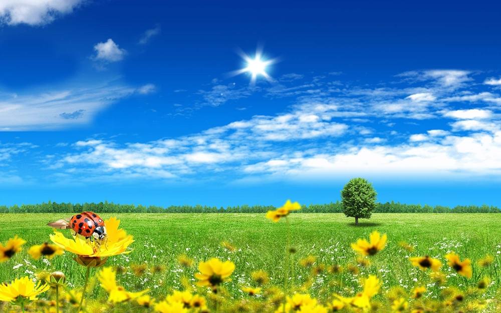 Season-(Spring-Autumn)HD-Wallpapers-Backgrounds ภาพพื้นหลัง พักหน้าจอ No.5