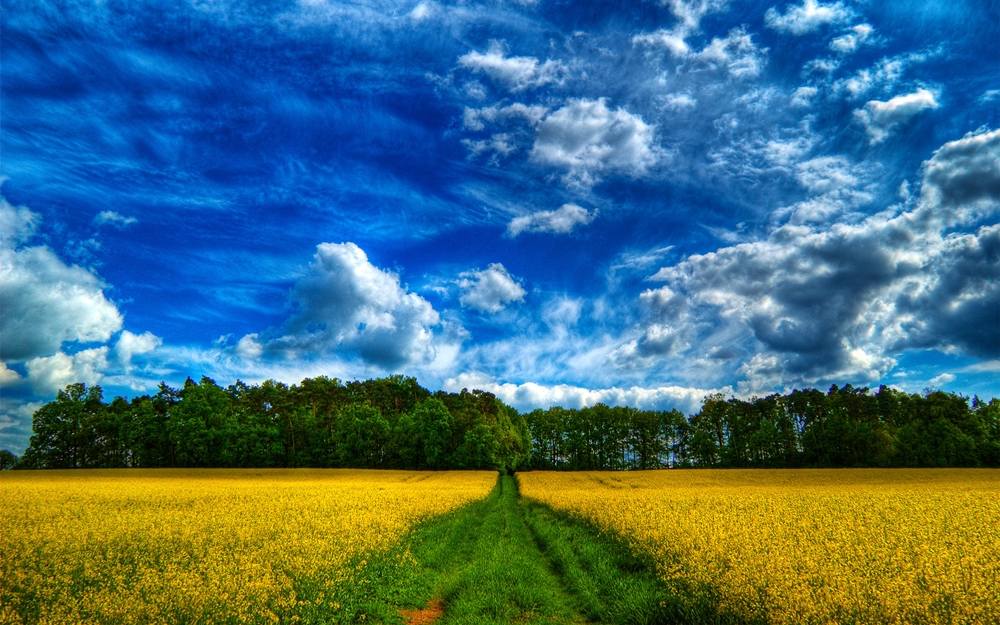 Season-(Spring-Autumn)HD-Wallpapers-Backgrounds ภาพพื้นหลัง พักหน้าจอ No.5