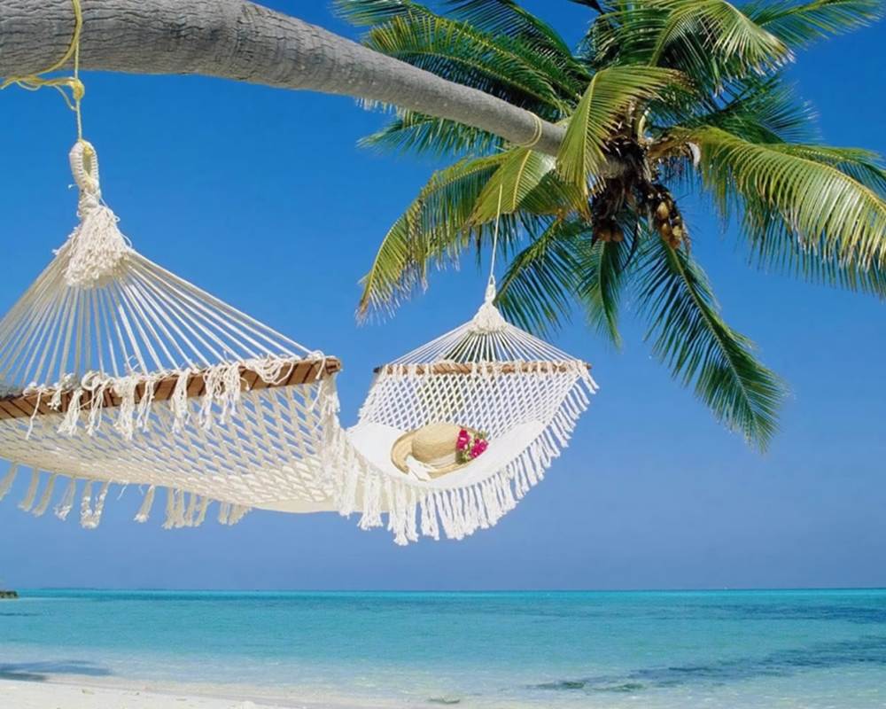 Season-(Summer-ฤดูร้อน)HD-Wallpapers-Backgrounds ภาพพื้นหลัง พักหน้าจอ No.6