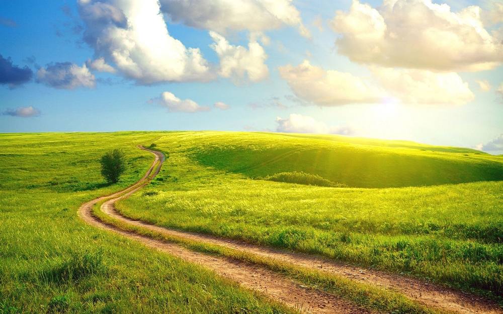 Season-(Summer-ฤดูร้อน)HD-Wallpapers-Backgrounds ภาพพื้นหลัง พักหน้าจอ No.6