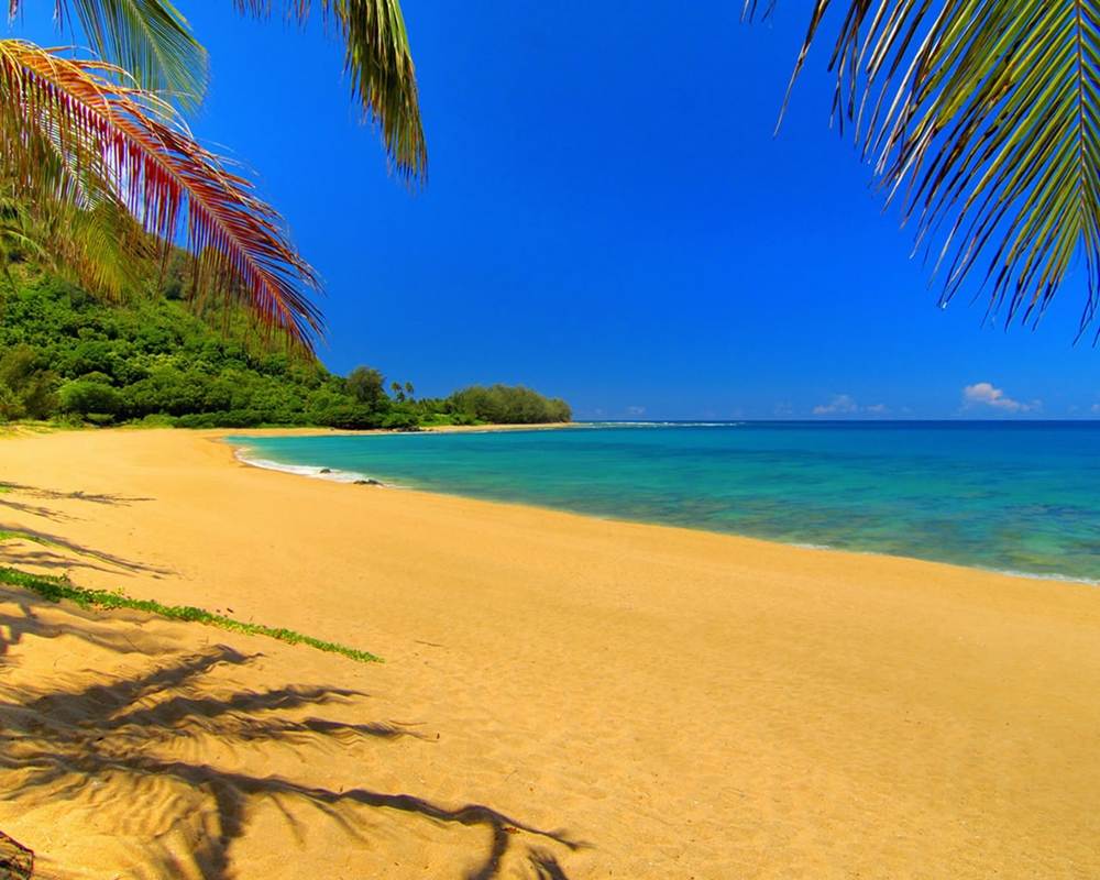 Season-(Summer-ฤดูร้อน)HD-Wallpapers-Backgrounds ภาพพื้นหลัง พักหน้าจอ No.6