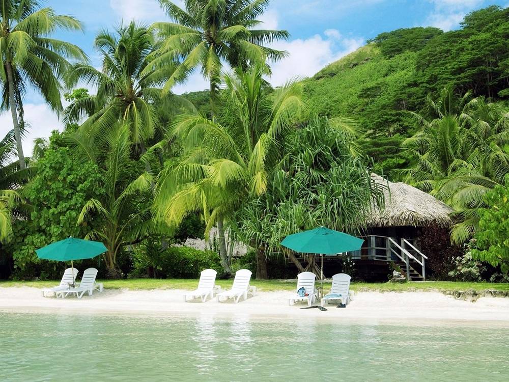Season-(Summer-ฤดูร้อน)HD-Wallpapers-Backgrounds ภาพพื้นหลัง พักหน้าจอ No.6