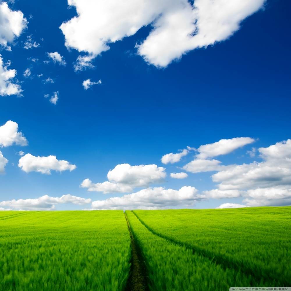 Season-(Summer-ฤดูร้อน)HD-Wallpapers-Backgrounds ภาพพื้นหลัง พักหน้าจอ No.7