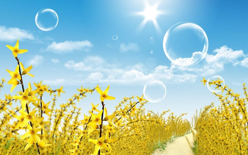 Season-(Summer-ฤดูร้อน)HD-Wallpapers-Backgrounds ภาพพื้นหลัง พักหน้าจอ No.7