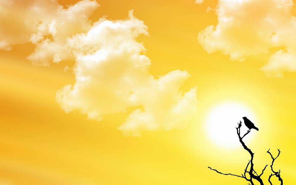Season-(Summer-ฤดูร้อน)HD-Wallpapers-Backgrounds ภาพพื้นหลัง พักหน้าจอ No.7