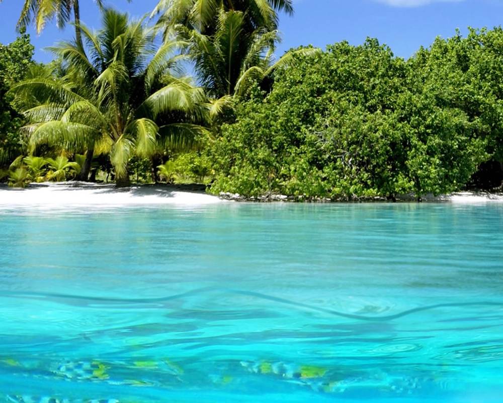 Season-(Summer-ฤดูร้อน)HD-Wallpapers-Backgrounds ภาพพื้นหลัง พักหน้าจอ No.7