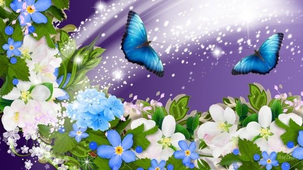 Season-(Summer-ฤดูร้อน)HD-Wallpapers-Backgrounds ภาพพื้นหลัง พักหน้าจอ No.8