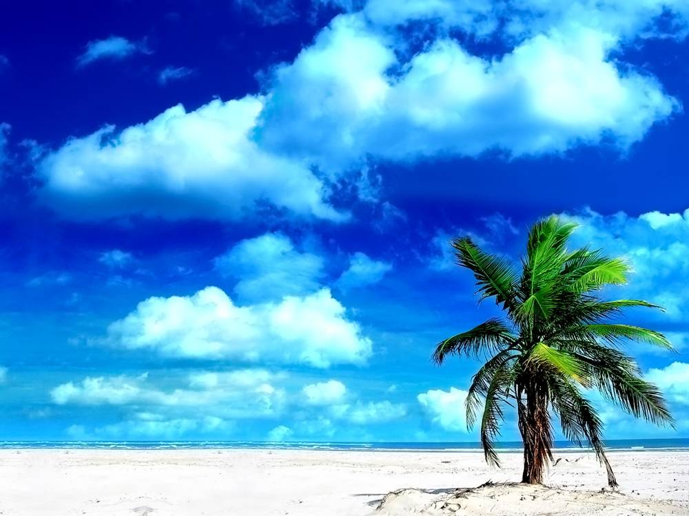 Season-(Summer-ฤดูร้อน)HD-Wallpapers-Backgrounds ภาพพื้นหลัง พักหน้าจอ No.8