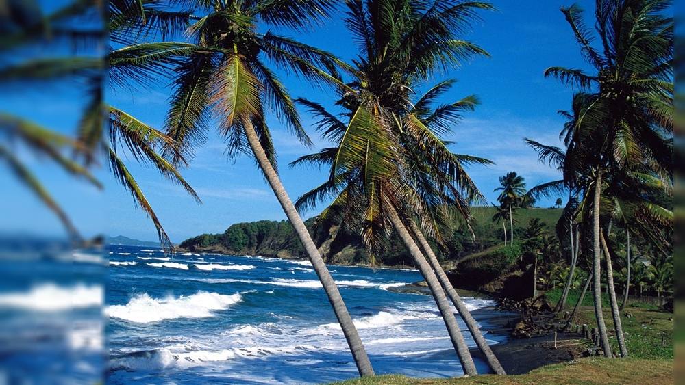 Season-(Summer-ฤดูร้อน)HD-Wallpapers-Backgrounds ภาพพื้นหลัง พักหน้าจอ No.8