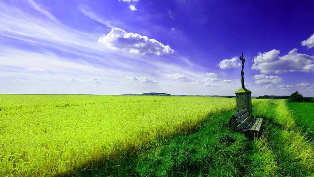 Season-(Summer-ฤดูร้อน)HD-Wallpapers-Backgrounds ภาพพื้นหลัง พักหน้าจอ No.8