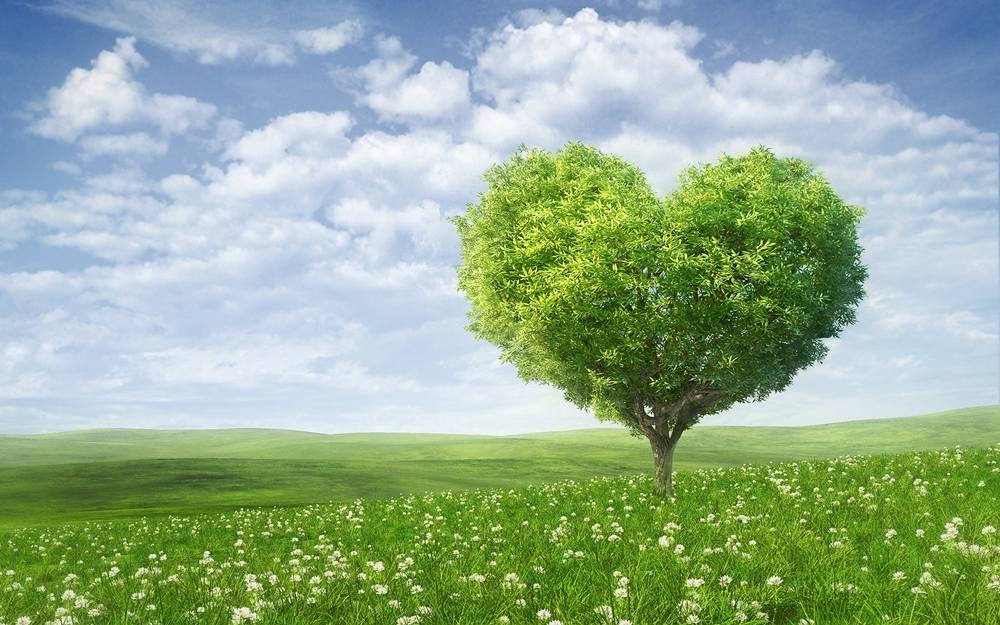 Season-(Summer-ฤดูร้อน)HD-Wallpapers-Backgrounds ภาพพื้นหลัง พักหน้าจอ No.8
