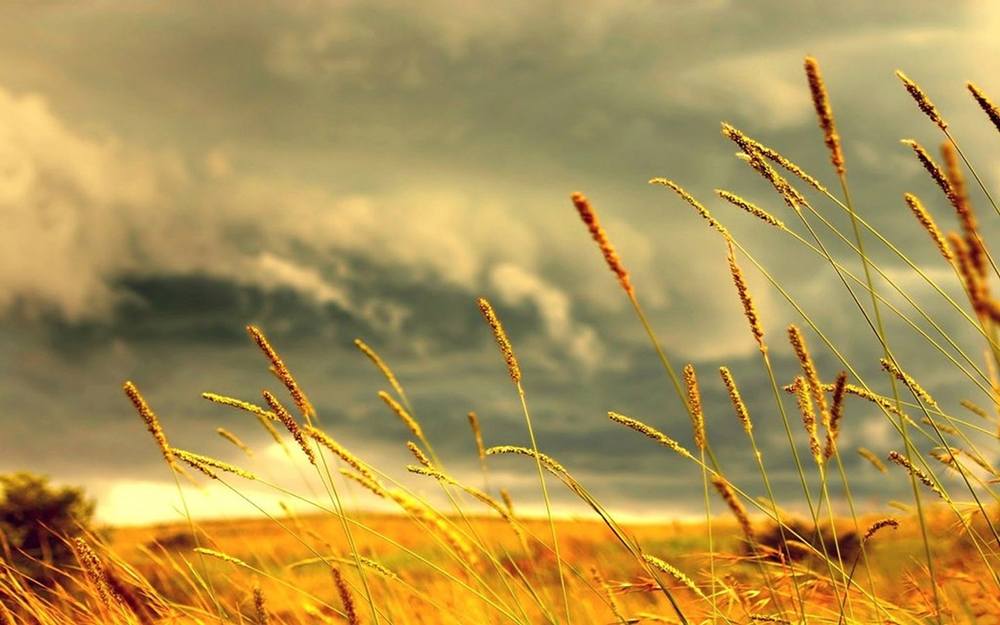 Season-(Summer-ฤดูร้อน)HD-Wallpapers-Backgrounds ภาพพื้นหลัง พักหน้าจอ No.9