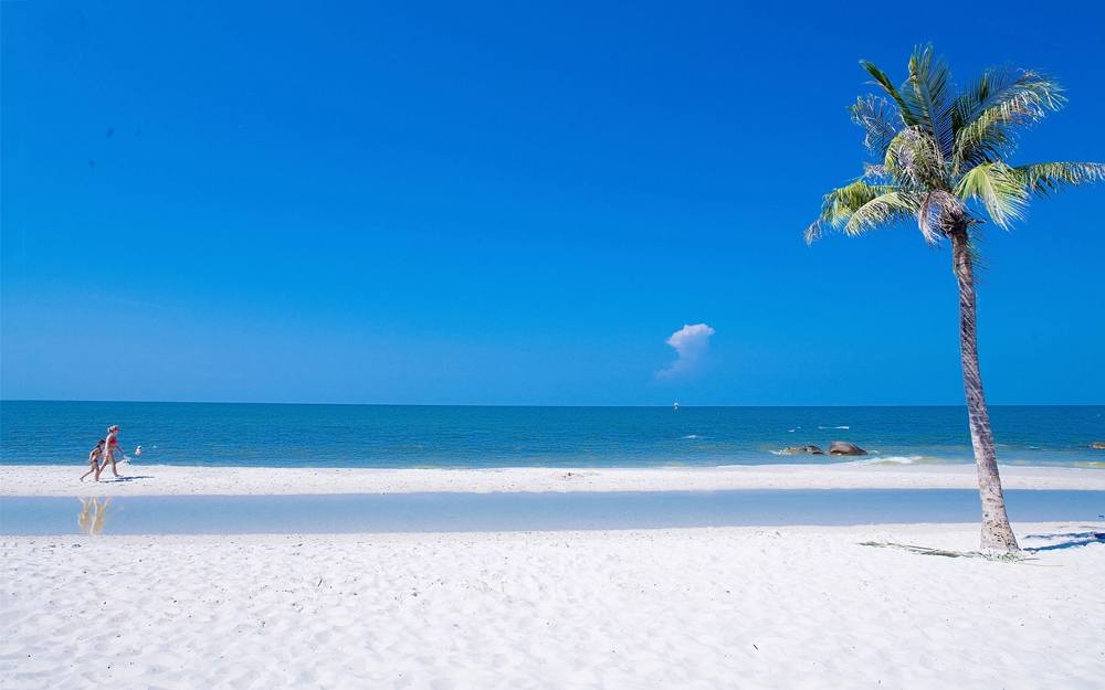 Season-(Summer-ฤดูร้อน)HD-Wallpapers-Backgrounds ภาพพื้นหลัง พักหน้าจอ No.9