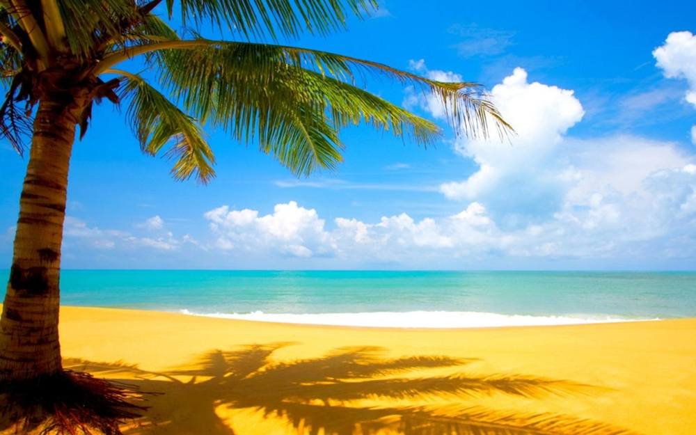 Season-(Summer-ฤดูร้อน)HD-Wallpapers-Backgrounds ภาพพื้นหลัง พักหน้าจอ No.9