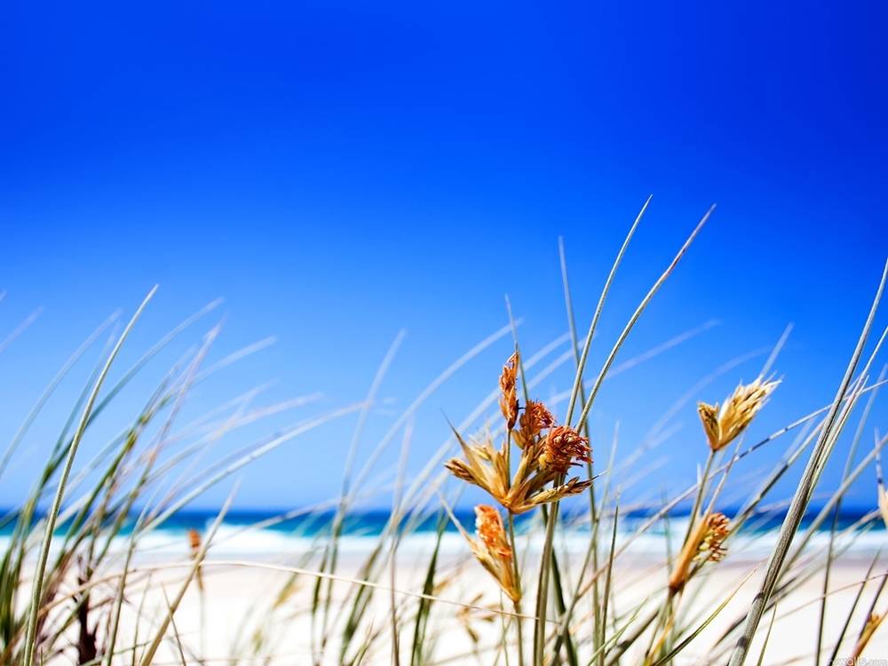 Season-(Summer-ฤดูร้อน)HD-Wallpapers-Backgrounds ภาพพื้นหลัง พักหน้าจอ No.9