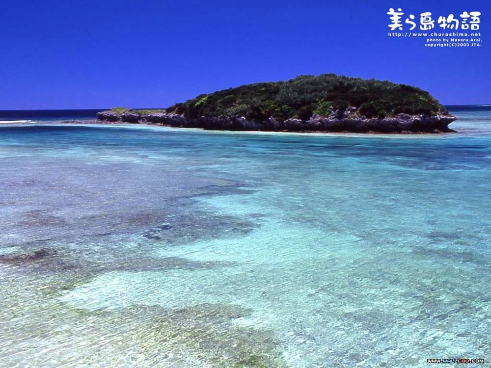 Season-(Summer-ฤดูร้อน)HD-Wallpapers-Backgrounds ภาพพื้นหลัง พักหน้าจอ No.10