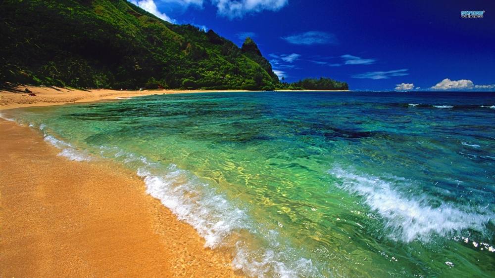 Season-(Summer-ฤดูร้อน)HD-Wallpapers-Backgrounds ภาพพื้นหลัง พักหน้าจอ No.10