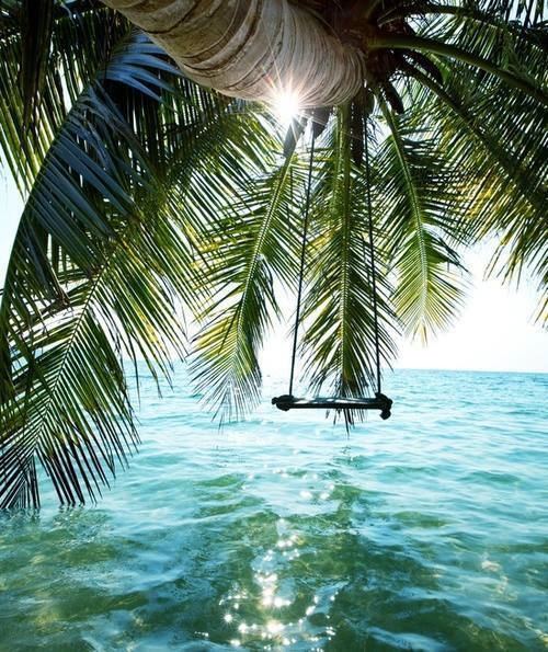Season-(Summer-ฤดูร้อน)HD-Wallpapers-Backgrounds ภาพพื้นหลัง พักหน้าจอ No.11