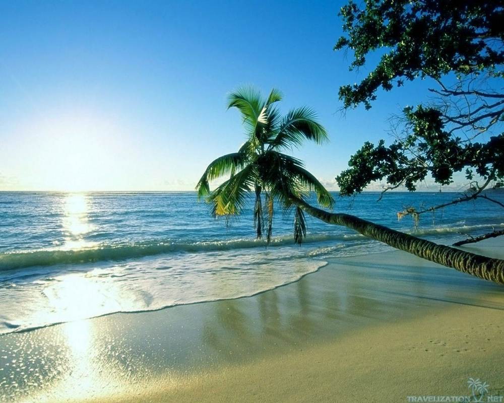 Season-(Summer-ฤดูร้อน)HD-Wallpapers-Backgrounds ภาพพื้นหลัง พักหน้าจอ No.11