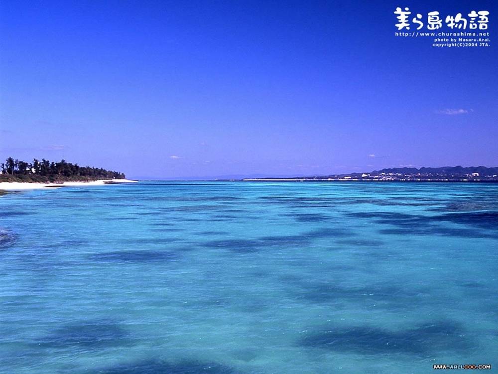 Season-(Summer-ฤดูร้อน)HD-Wallpapers-Backgrounds ภาพพื้นหลัง พักหน้าจอ No.11
