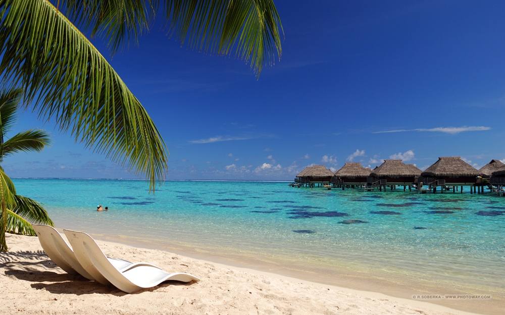Season-(Summer-ฤดูร้อน)HD-Wallpapers-Backgrounds ภาพพื้นหลัง พักหน้าจอ No.11