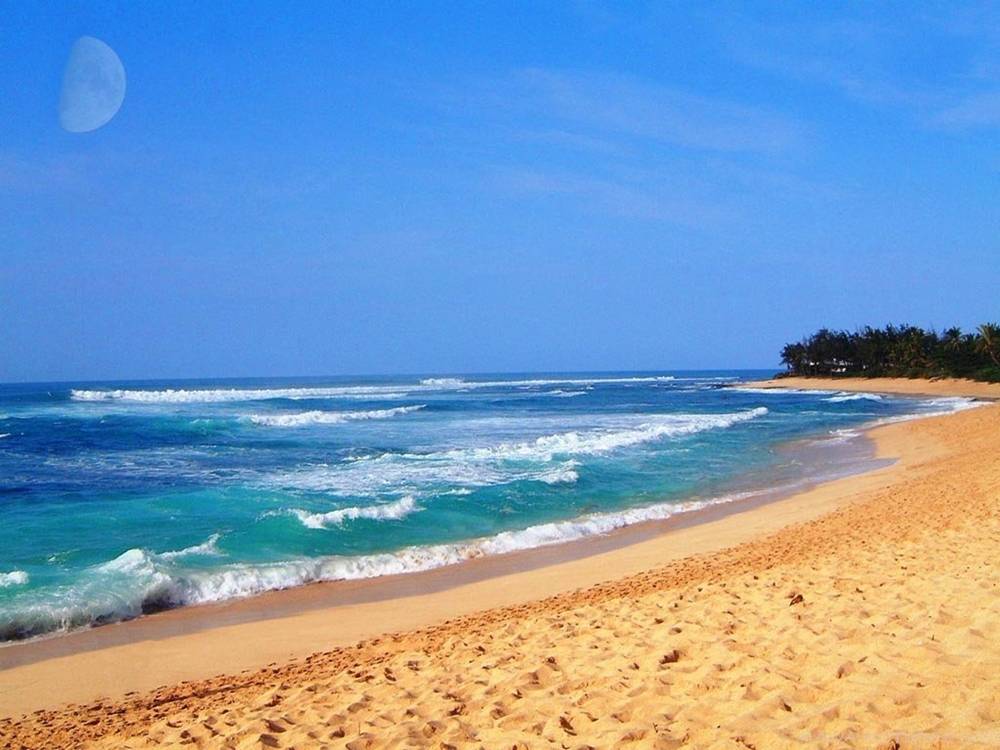 Season-(Summer-ฤดูร้อน)HD-Wallpapers-Backgrounds ภาพพื้นหลัง พักหน้าจอ No.11