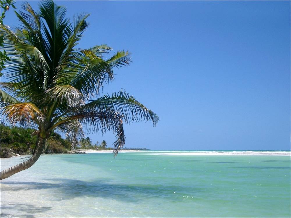 Season-(Summer-ฤดูร้อน)HD-Wallpapers-Backgrounds ภาพพื้นหลัง พักหน้าจอ No.11