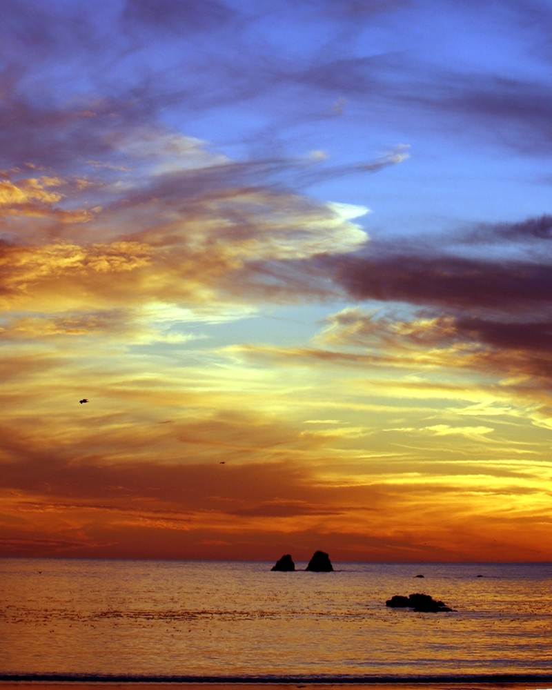 Season-(Summer-ฤดูร้อน)HD-Wallpapers-Backgrounds ภาพพื้นหลัง พักหน้าจอ No.12