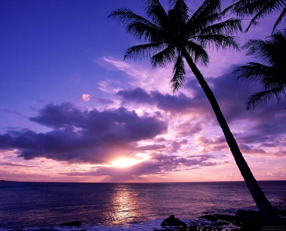 Season-(Summer-ฤดูร้อน)HD-Wallpapers-Backgrounds ภาพพื้นหลัง พักหน้าจอ No.12