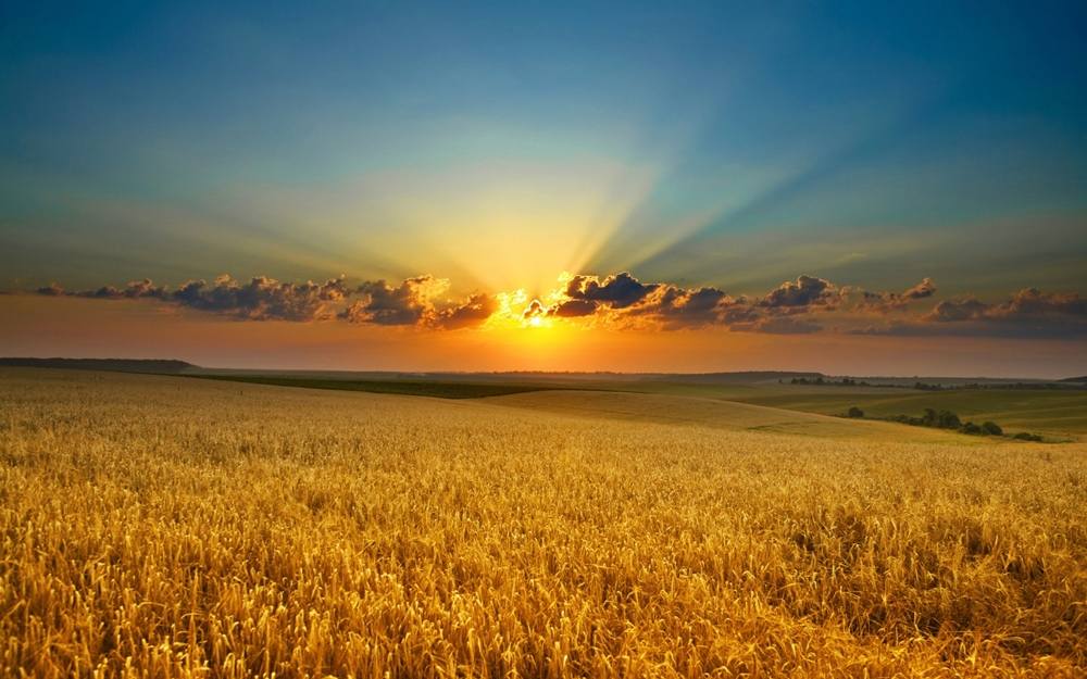 Season-(Summer-ฤดูร้อน)HD-Wallpapers-Backgrounds ภาพพื้นหลัง พักหน้าจอ No.12