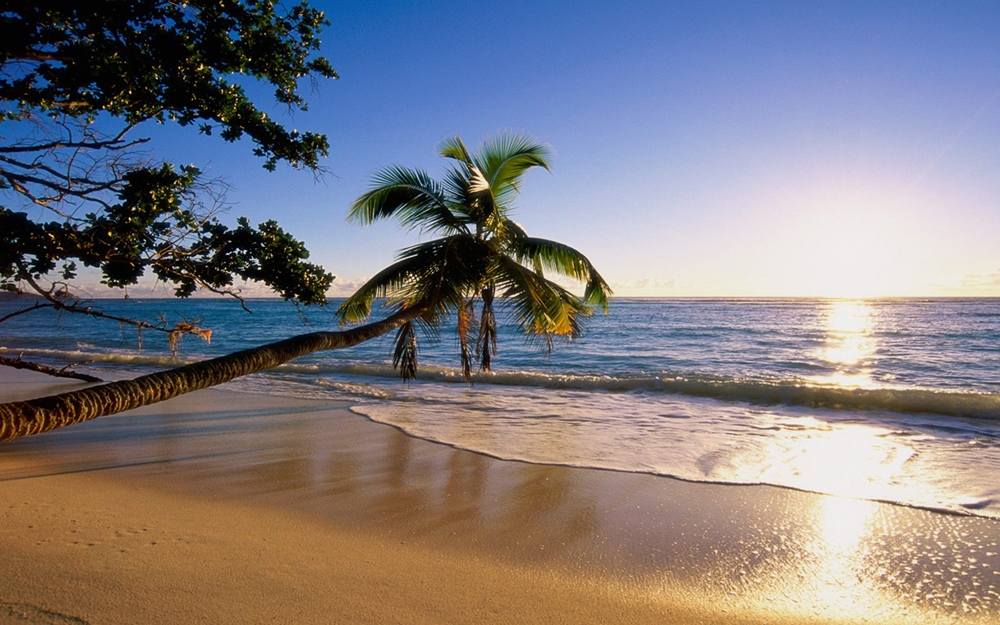 Season-(Summer-ฤดูร้อน)HD-Wallpapers-Backgrounds ภาพพื้นหลัง พักหน้าจอ No.12