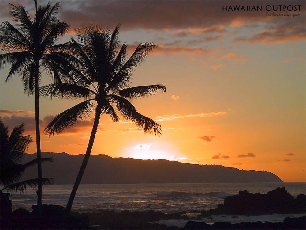 Season-(Summer-ฤดูร้อน)HD-Wallpapers-Backgrounds ภาพพื้นหลัง พักหน้าจอ No.13