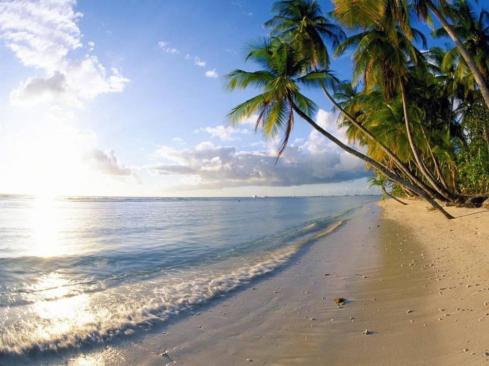 Season-(Summer-ฤดูร้อน)HD-Wallpapers-Backgrounds ภาพพื้นหลัง พักหน้าจอ No.13