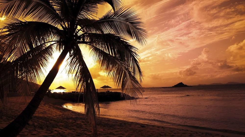 Season-(Summer-ฤดูร้อน)HD-Wallpapers-Backgrounds ภาพพื้นหลัง พักหน้าจอ No.13