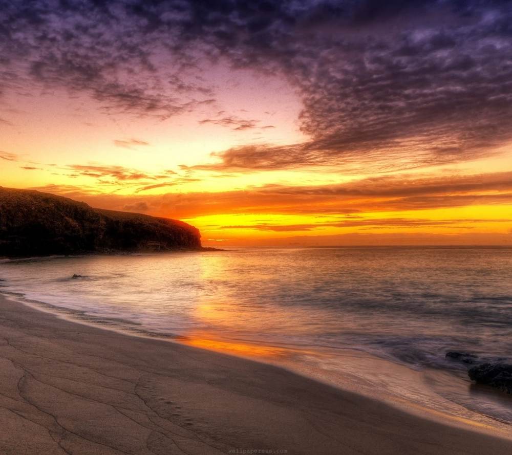 Season-(Summer-ฤดูร้อน)HD-Wallpapers-Backgrounds ภาพพื้นหลัง พักหน้าจอ No.13