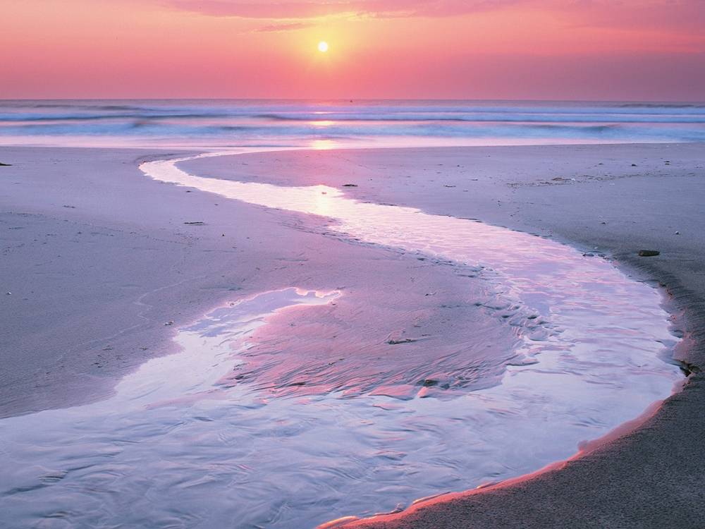 Season-(Summer-ฤดูร้อน)HD-Wallpapers-Backgrounds ภาพพื้นหลัง พักหน้าจอ No.13