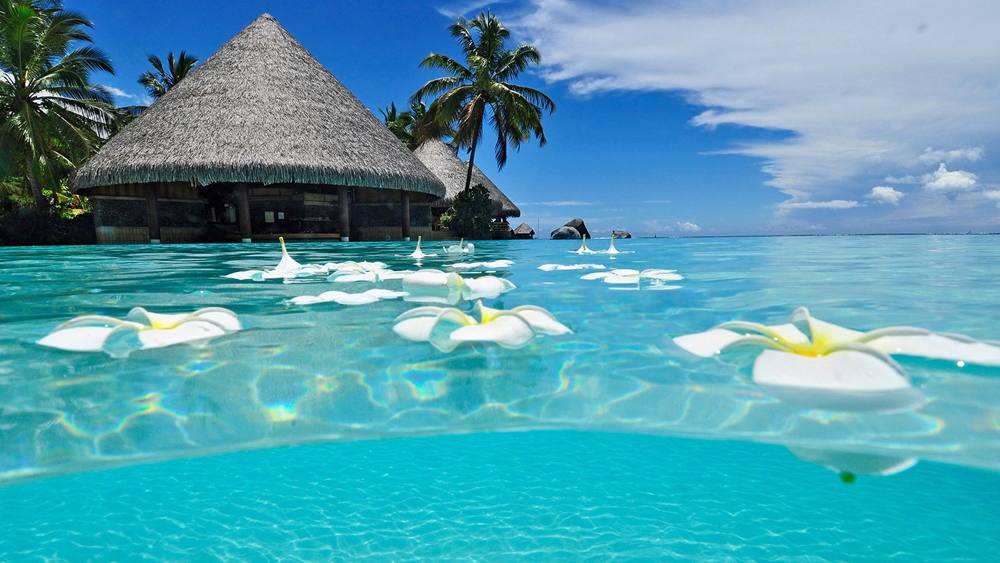 Season-(Summer-ฤดูร้อน)HD-Wallpapers-Backgrounds ภาพพื้นหลัง พักหน้าจอ No.14
