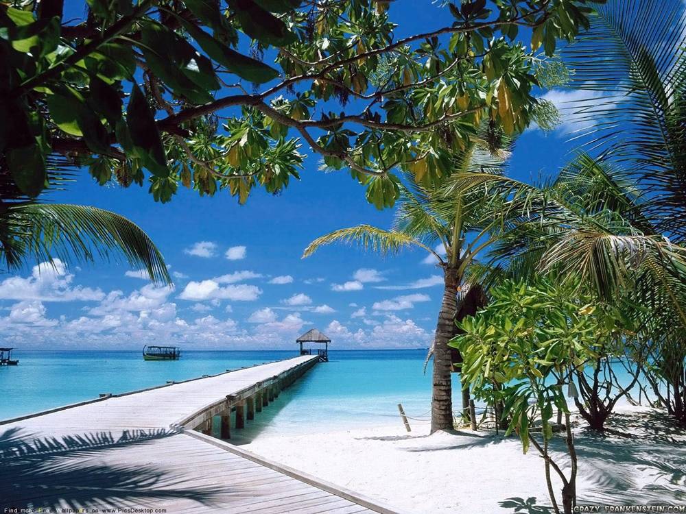 Season-(Summer-ฤดูร้อน)HD-Wallpapers-Backgrounds ภาพพื้นหลัง พักหน้าจอ No.14