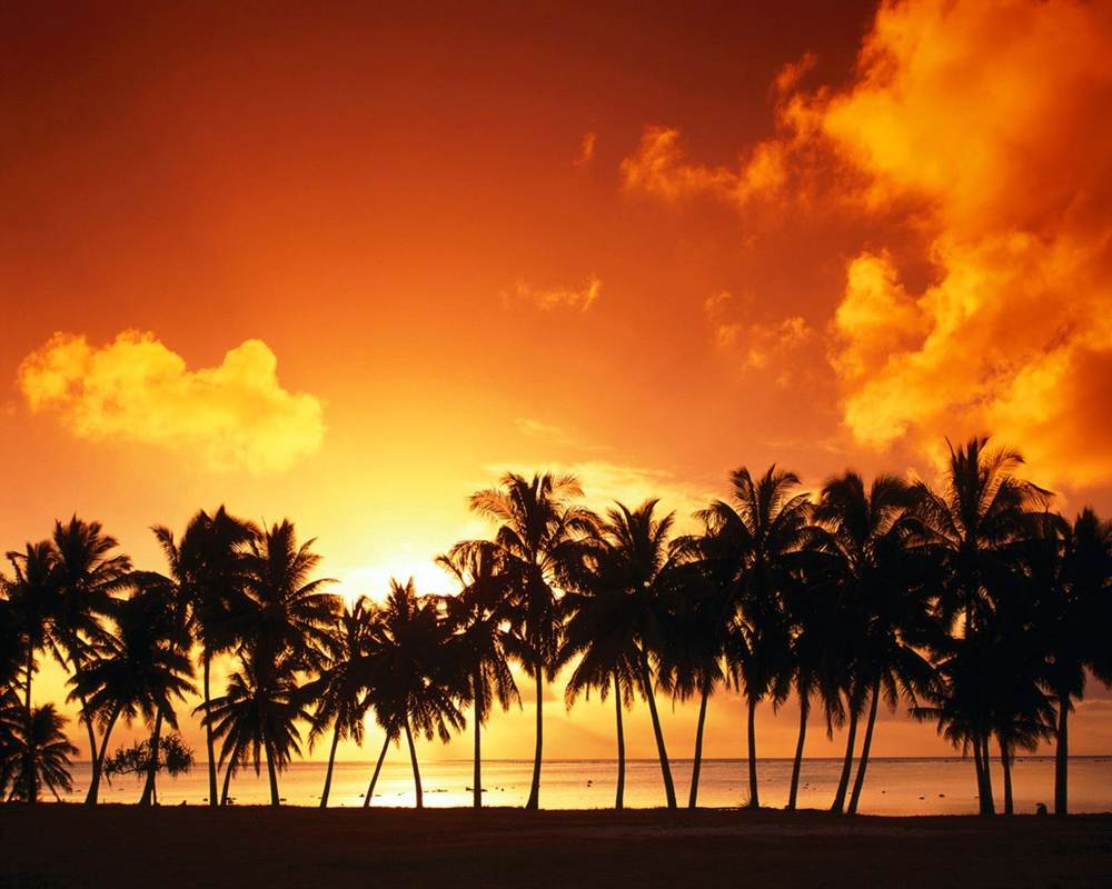 Season-(Summer-ฤดูร้อน)HD-Wallpapers-Backgrounds ภาพพื้นหลัง พักหน้าจอ No.14