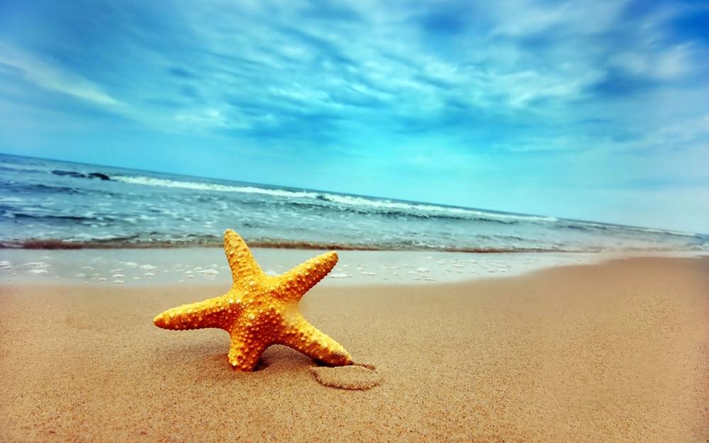 Season-(Summer-ฤดูร้อน)HD-Wallpapers-Backgrounds ภาพพื้นหลัง พักหน้าจอ No.15