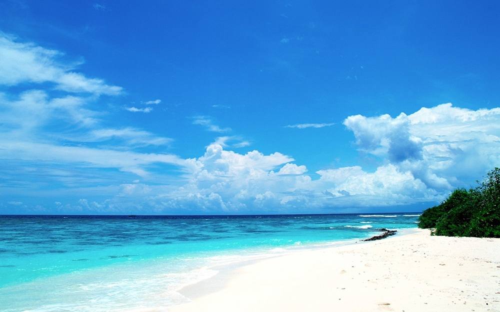 Season-(Summer-ฤดูร้อน)HD-Wallpapers-Backgrounds ภาพพื้นหลัง พักหน้าจอ No.15