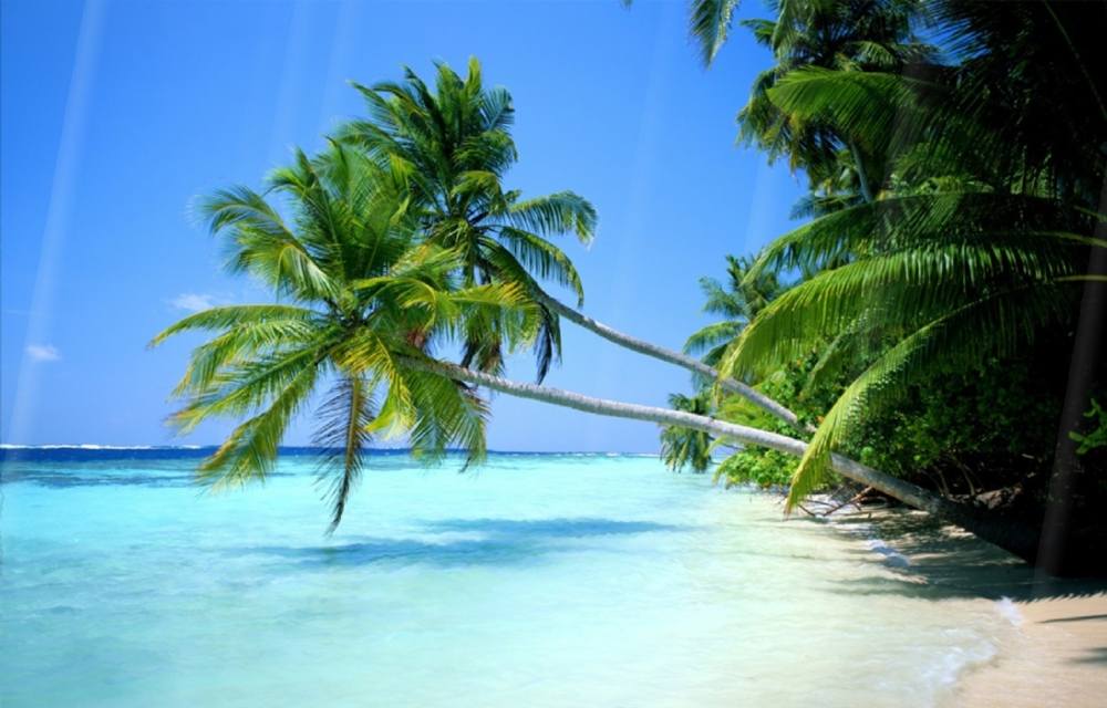 Season-(Summer-ฤดูร้อน)HD-Wallpapers-Backgrounds ภาพพื้นหลัง พักหน้าจอ No.15