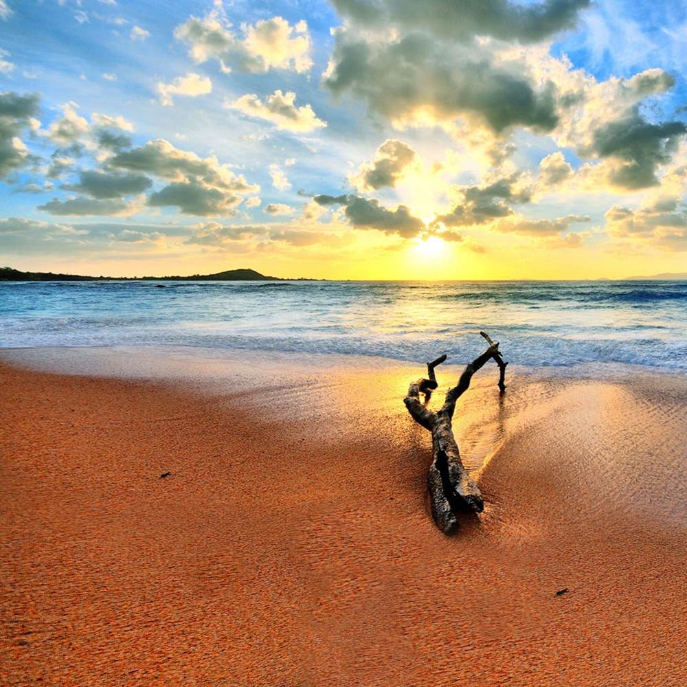 Season-(Summer-ฤดูร้อน)HD-Wallpapers-Backgrounds ภาพพื้นหลัง พักหน้าจอ No.15