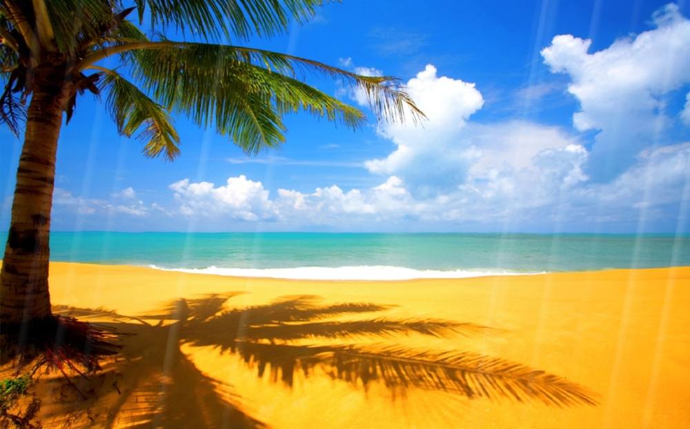 Season-(Summer-ฤดูร้อน)HD-Wallpapers-Backgrounds ภาพพื้นหลัง พักหน้าจอ No.15