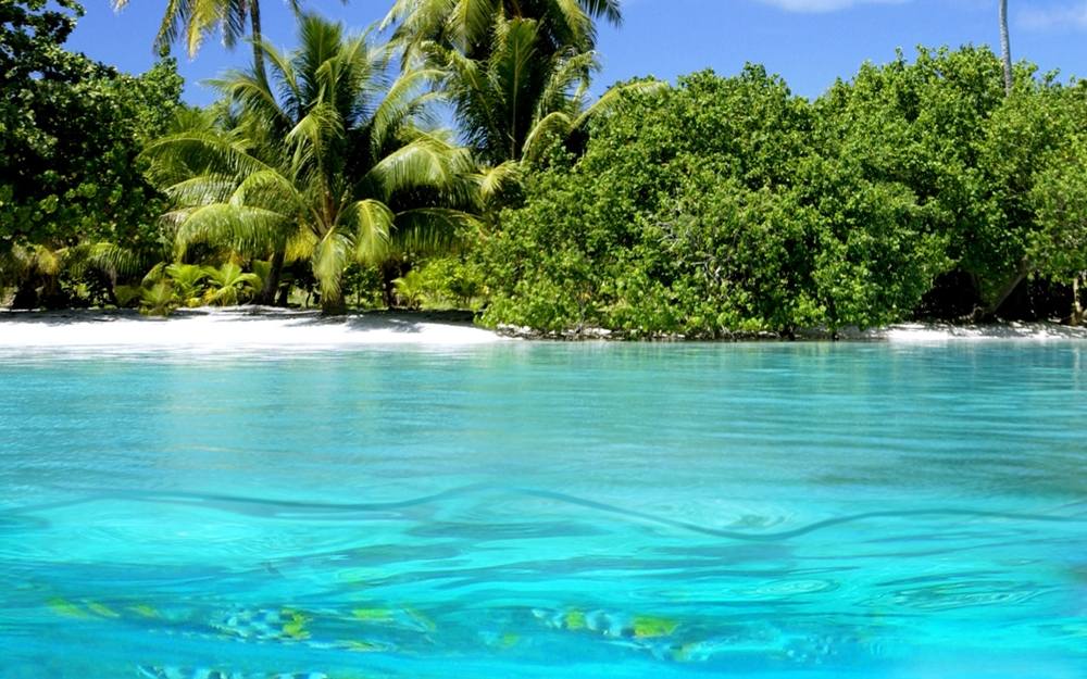 Season-(Summer-ฤดูร้อน)HD-Wallpapers-Backgrounds ภาพพื้นหลัง พักหน้าจอ No.15