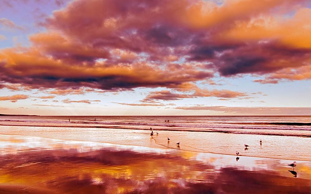 Season-(Summer-ฤดูร้อน)HD-Wallpapers-Backgrounds ภาพพื้นหลัง พักหน้าจอ No.15